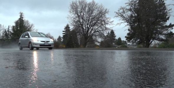 Rain - 34 - Country Road, Cars, Puddles, Trees alt