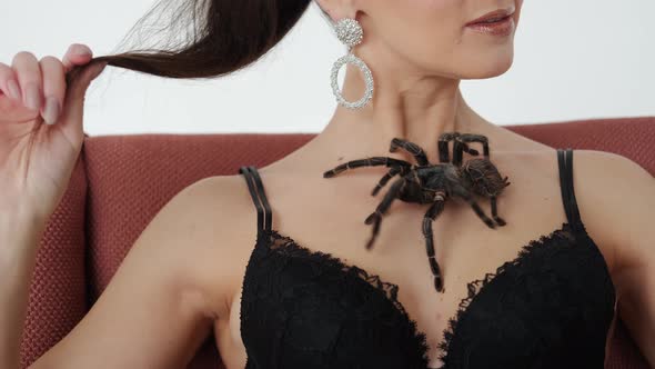 Big Black Spider on a Woman's Chest