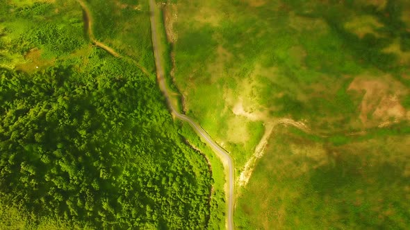 View of beautiful green landscape