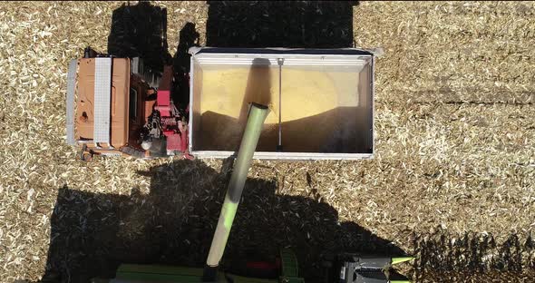 Aerial top down view, combine harvesting and unloading wheat grains into tractor trailer.