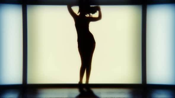 Silhouette Of A sexy Dancing Strep 3D Animation