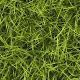 Grass Texture - 3DOcean Item for Sale