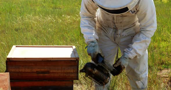 Beekeepers smoking the bees away from hive