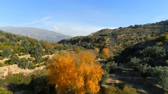 Autumn Colours in a Beautiful Valley