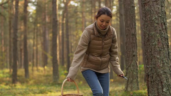 Young Woman Picking Mushrooms in Autumn Forest