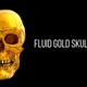 Fluid Gold Loop Skull - VideoHive Item for Sale