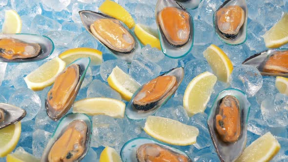 Mussels And Lemon Slices On Ice At Buffet