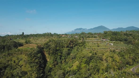 Mountain Landscape with Farmlands Bali Indonesia