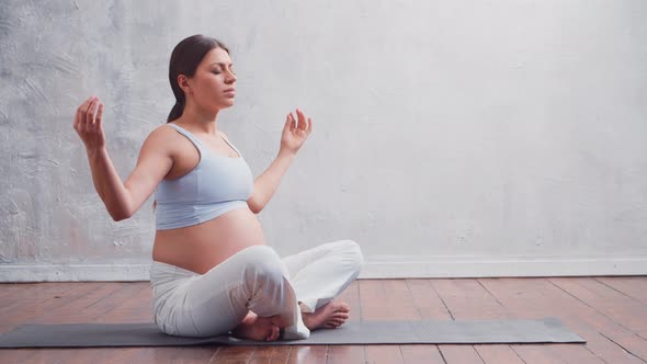 Young pregnant woman is resting at home and expecting a baby.