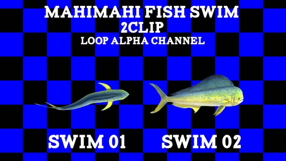 Mahimahi Fish 2 Clip Loop