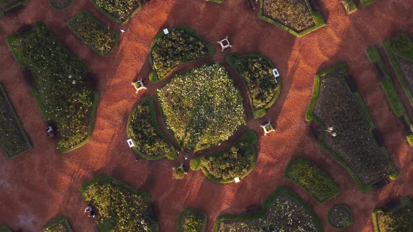 rising drone flight over the rosedal in palermo in buenos aires this rose garden is very beautiful a