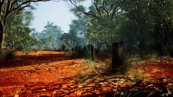 Dingoe Fence in the Australian Outback