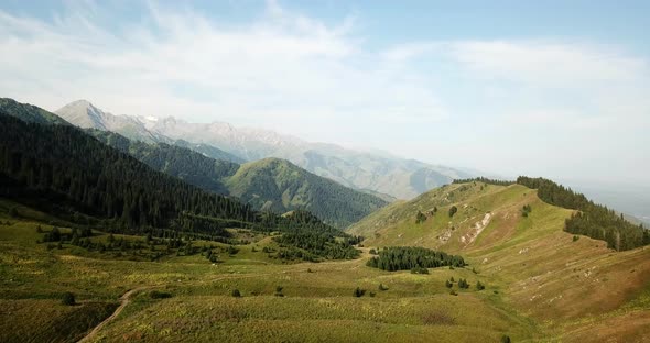 Views of green meadows hills with firs and trails