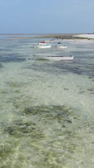 Vertical Video of Low Tide in the Ocean Near the Coast of Zanzibar Tanzania