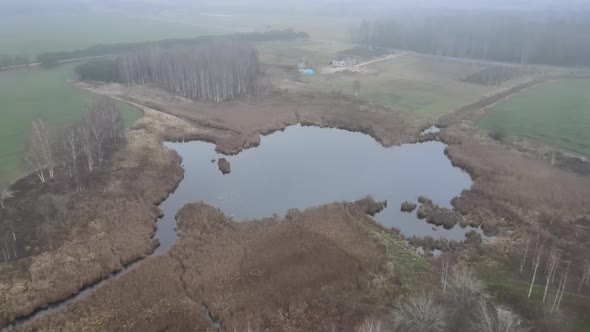 Lake in the forest