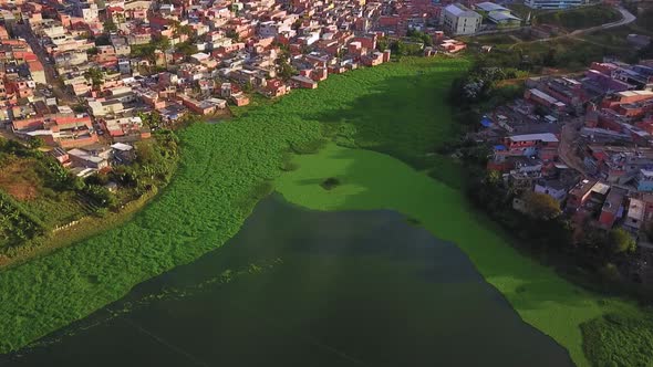 Aerial birds eye view flying over the green shores next to the favelas in Sao Paulo