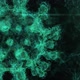 Coronavirus - VideoHive Item for Sale
