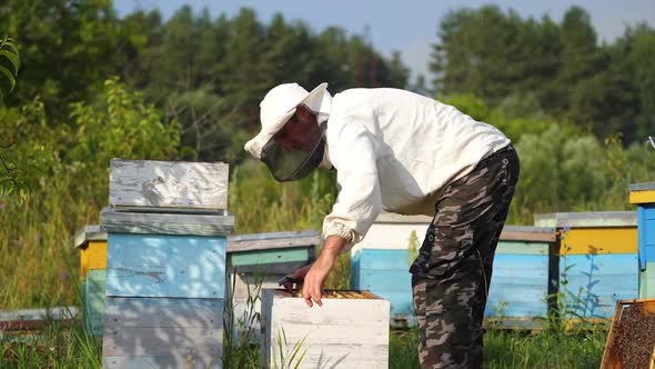 Beekeeper is working with bees and beehives on the apiary. Beekeeper on apiary.