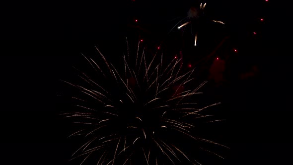 Fireworks explosion at night