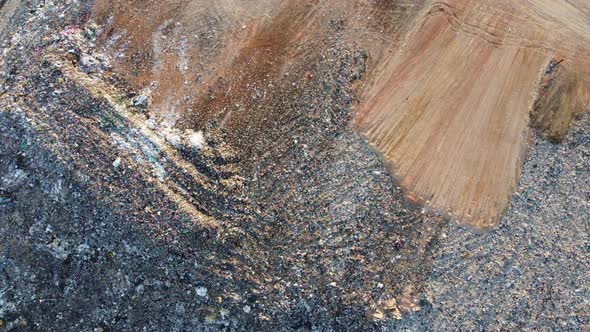 Egret birds fly at garbage dump site