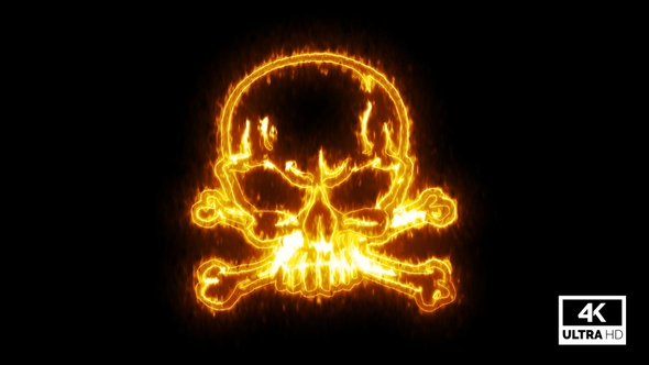 Fire Burning Skull With Crossbone V5