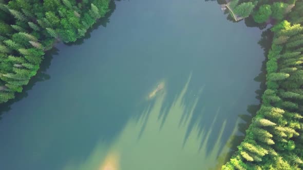 Aerial View Carpathian Mountings in Summer