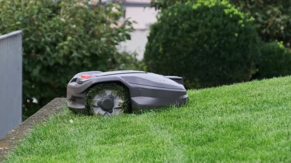 Robotic Lawn Mower Moving Across Lawn Robot Cuts Green Grass in the Backyard