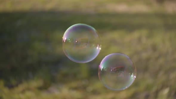 Bubbles Floating In Sunlit Field