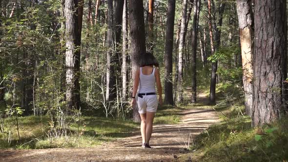 Girl walking in the wood. Sun through the trees.