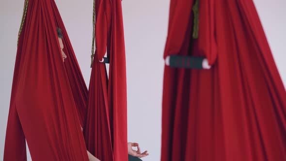 Concentrated Women Group Relaxes in Fly Yoga Hammocks