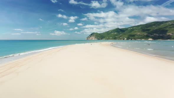 White Seagulls Fly Over the White Sands of the Shallow Sea