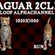 Jaguar Front 2 Clip Loop Alpha - VideoHive Item for Sale