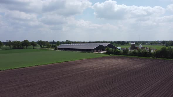 Dairy farm in agricultural area in the Achterhoek, the Netherlands