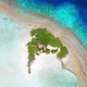Maldives Island Tropical White Sand Beach Aerial View - VideoHive Item for Sale