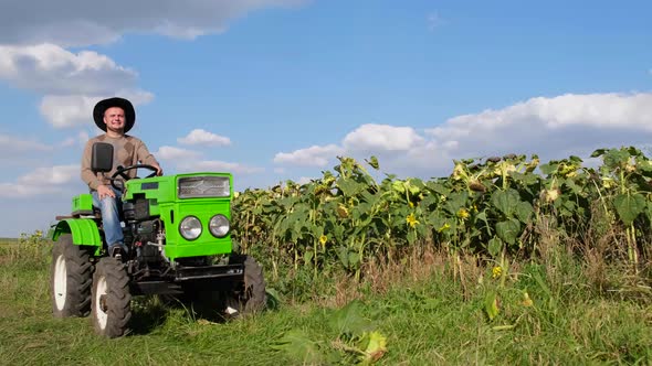 Colorado USA a Farmer Drives a Green Mini Tractor He is on His Sunflower Field