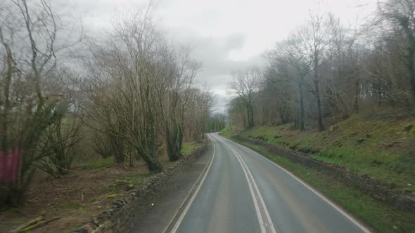 POV From Vehicle Driving Through Empty Road With Leafless Trees In Overcast Day.