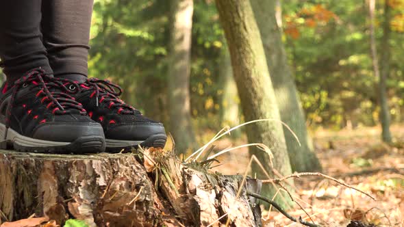 A Woman Stands on a Stump in a Forest and Looks Around - Closeup on the Shoes