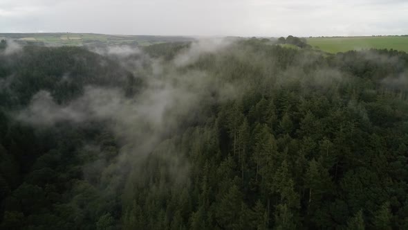 Aerial shot of foggy woodland deep in the countryside, establishing