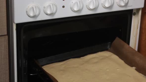 A Woman Puts The Dough On A Baking Sheet Into The Oven. Cooking Biscuit Cake Dairy Girl.