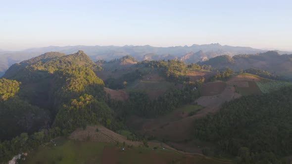 Aerial top view of forest trees and green mountain hills. Nature landscape background, Thailand.