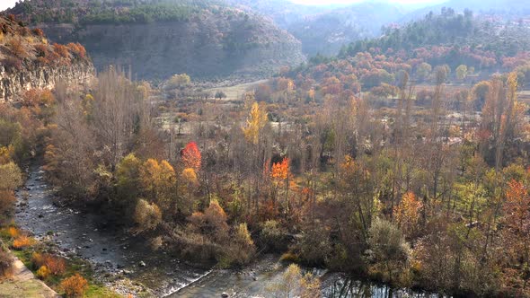 Valley Covered With Poplar Trees Colored in Autumn