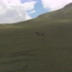 Drone Shot of a Herd of Horses Grazing in a Meadow in the Mountains - VideoHive Item for Sale