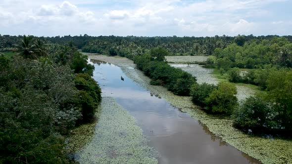 Beautiful aerial shot of backwater river in Asia,Small boat cruise,Thick mangrove forest