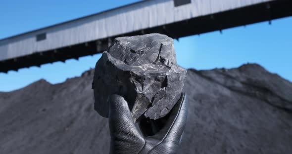 Closeup Coal Piece in Man's Hand Backdrop of Black Mineral Pile