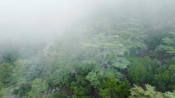 Rainy Weather in Mountains