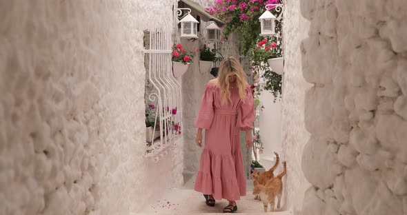 Tourist woman looking at walking with cats in Marmaris city. Young model on vacation in Asia.