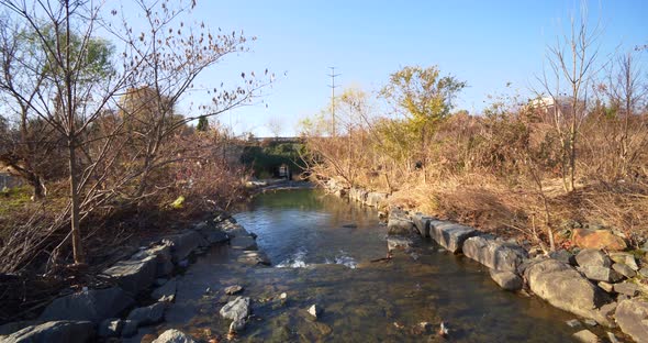 Little Sugar Creek Greenway Linear Park And Stream Restoration Project  Mecklenburg County 