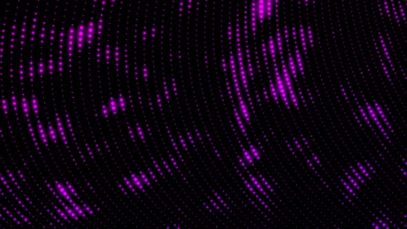 Pink Color Glowing Grid Particle Line Animated On Black Background