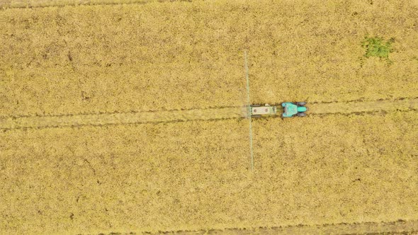 Aerial top view photo from flying drone of a land with sown green fields in countryside in spring da