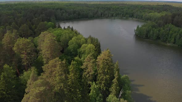 Landscape of a Lake in the Middle of the Coniferous Forest